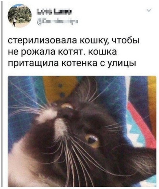 Нестандартный юмор с просторов сети