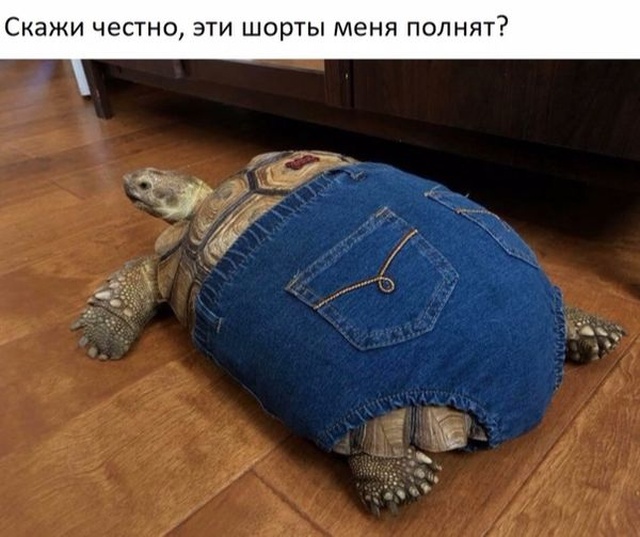 Нестандартный юмор с просторов сети
