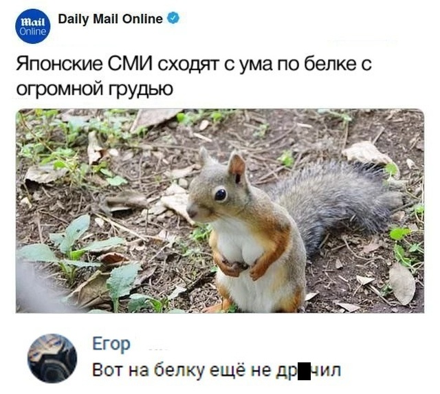 Нестандартный юмор с просторов сети