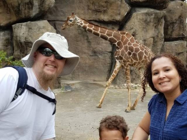 Не просите незнакомцев вас сфотографировать