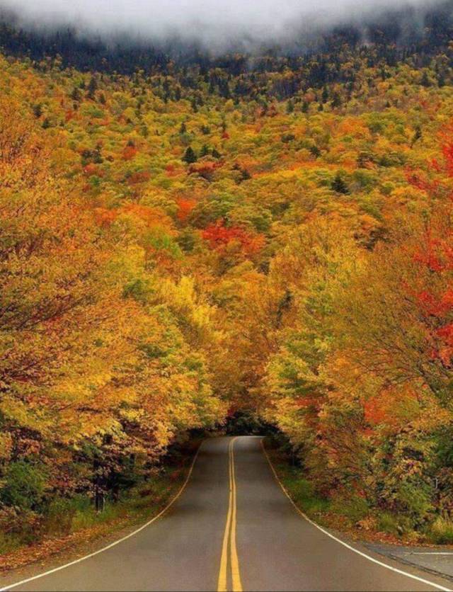 Фотографии вместо тысячи слов