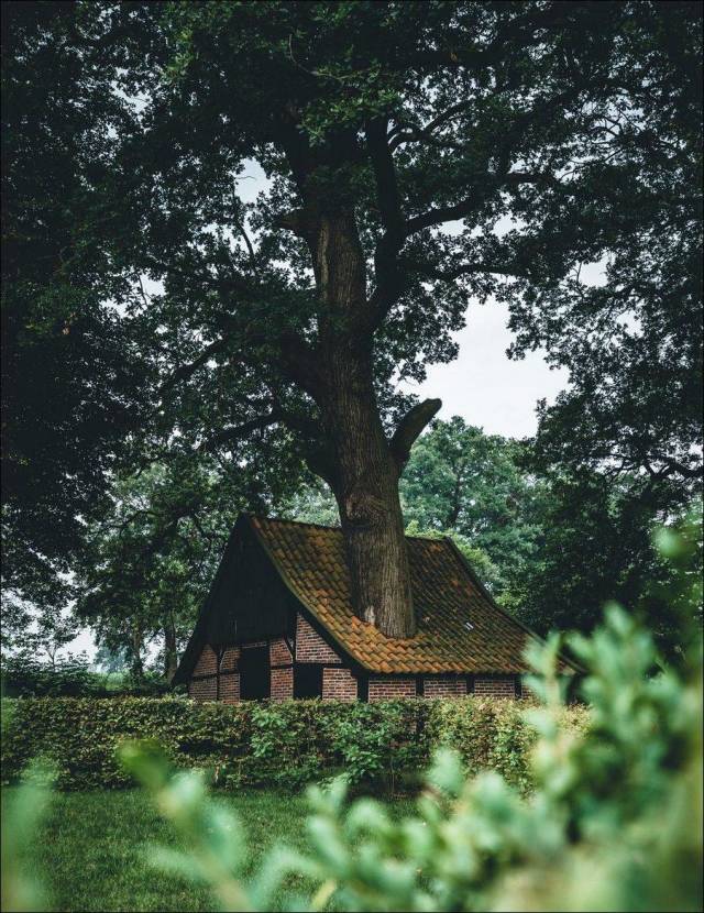 Фотографии вместо тысячи слов