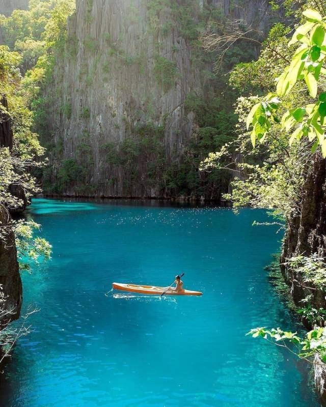 Фотографии вместо тысячи слов