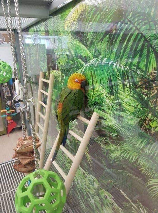 Фотографии вместо тысячи слов