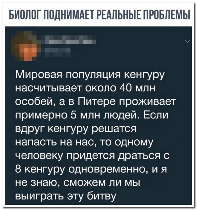 Шутки, высказывания и комментарии из социальных сетей