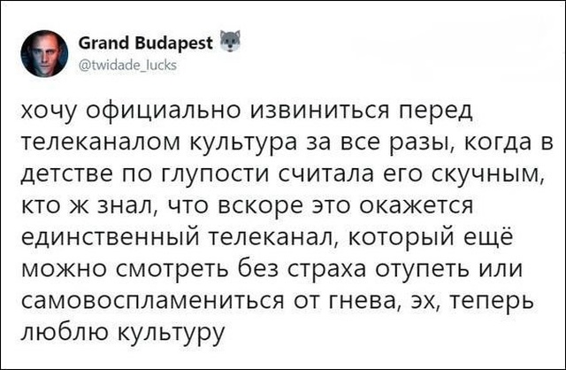 Шутки, высказывания и комментарии из социальных сетей