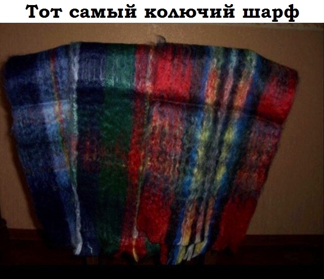 Назад в прошлое