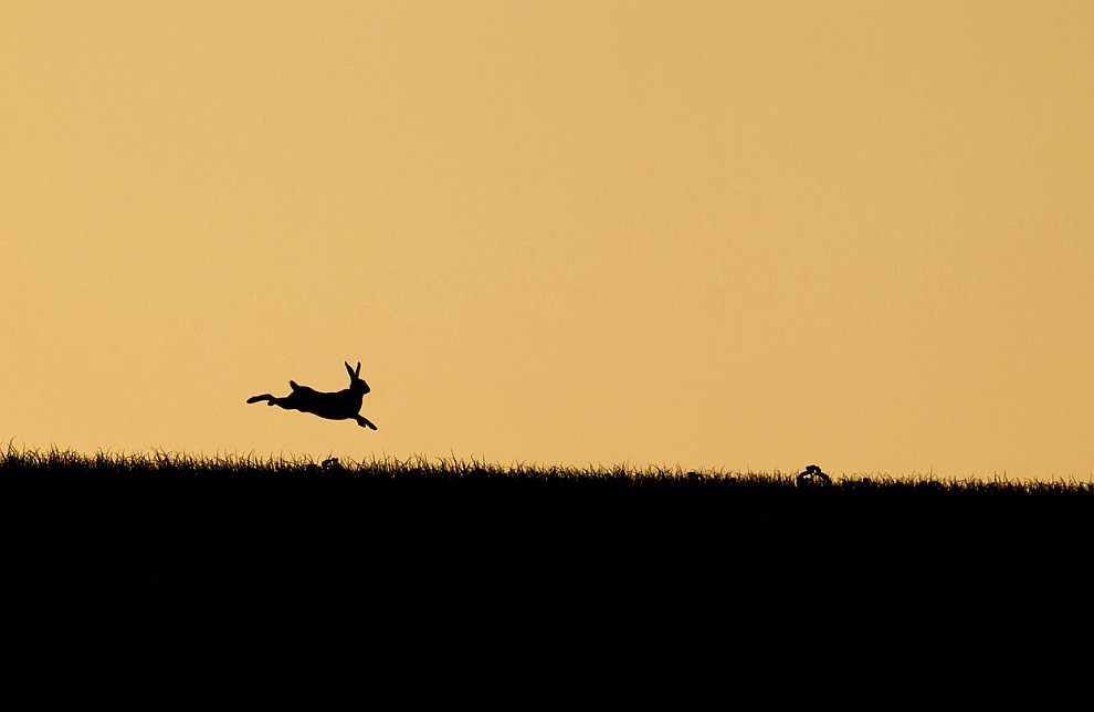 Лучшее с конкурса фотографии National Geographic 2012. Часть 2