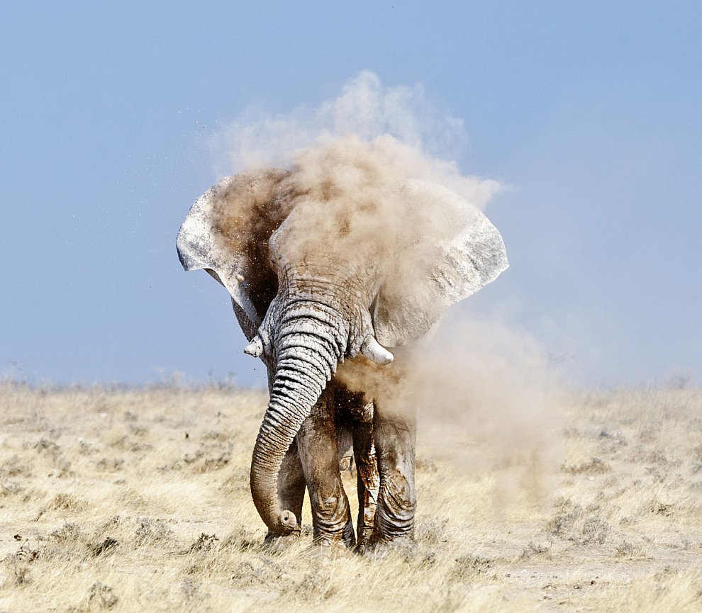 Лучшее с конкурса фотографии National Geographic 2012. Часть 2