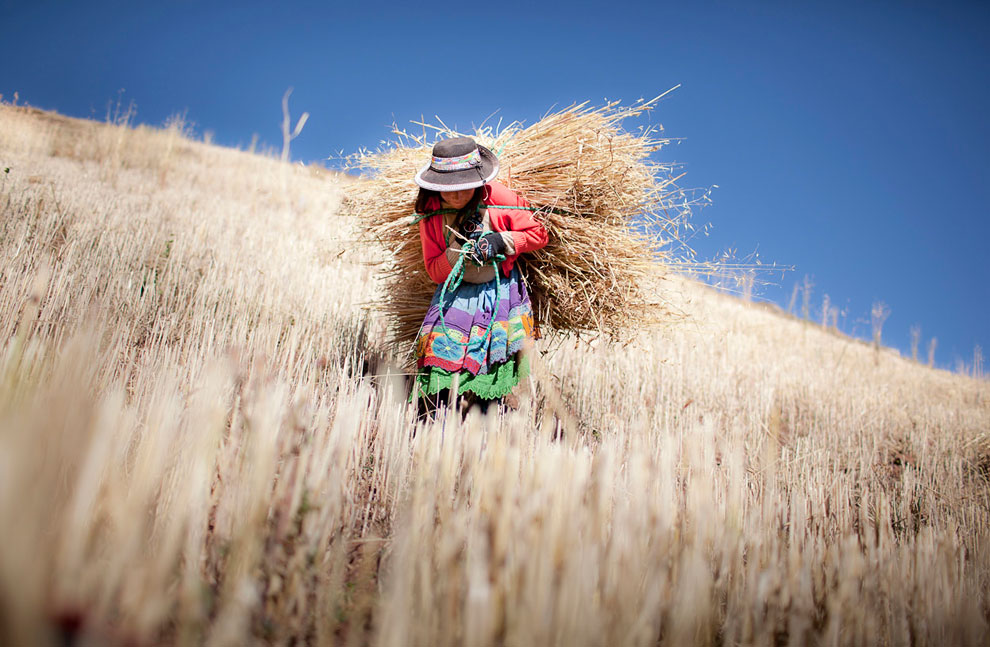 Лучшее с конкурса фотографии National Geographic 2012. Часть 2