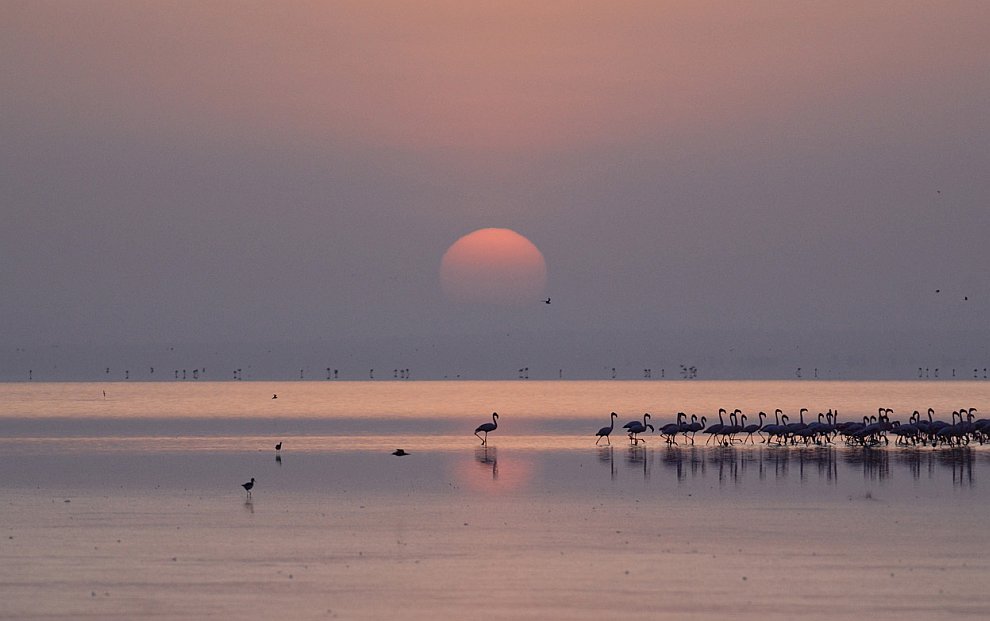 Лучшее с конкурса фотографии National Geographic 2012. Часть 2