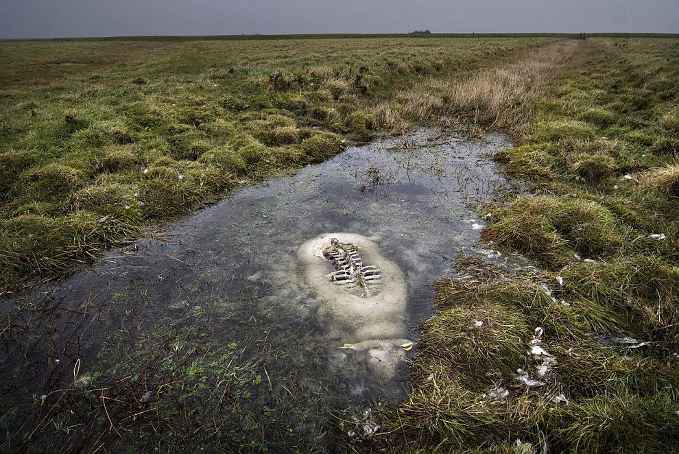Лучшее с конкурса фотографии National Geographic 2012. Часть 2