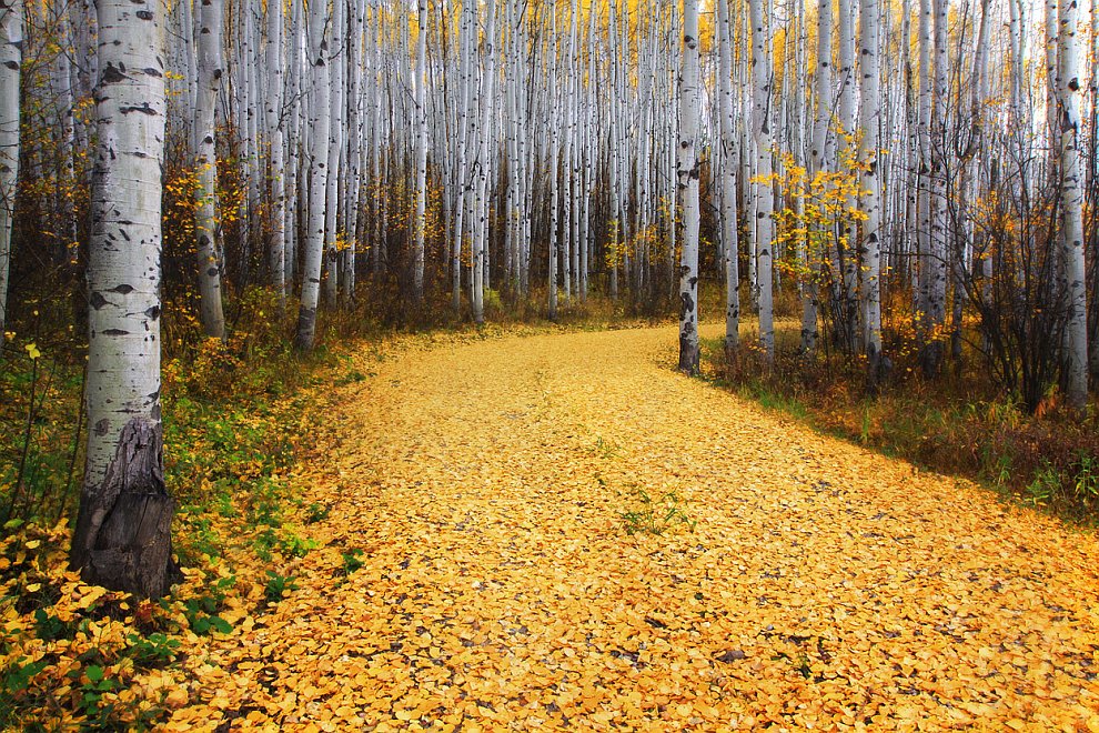 Лучшее с конкурса фотографии National Geographic 2012. Часть 2
