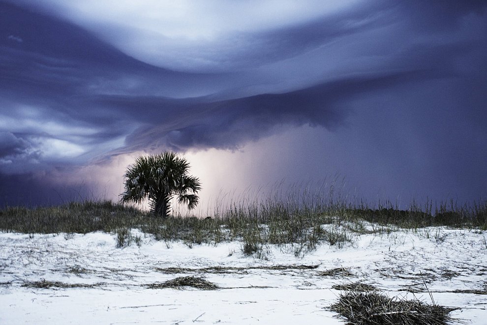 Лучшее с конкурса фотографии National Geographic 2012. Часть 2