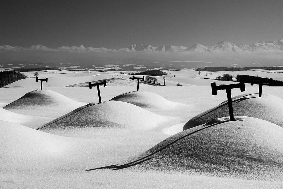 Лучшее с конкурса фотографии National Geographic 2012. Часть 2