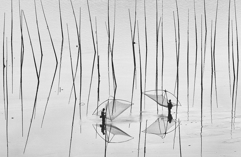 Лучшее с конкурса фотографии National Geographic 2012. Часть 2