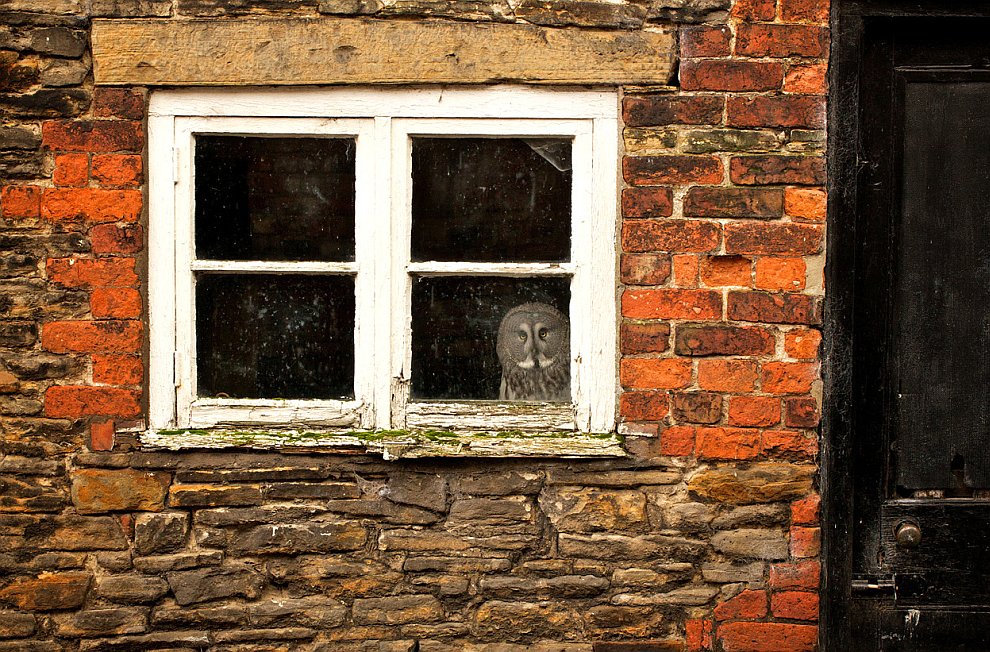 Лучшее с конкурса фотографии National Geographic 2012. Часть 2