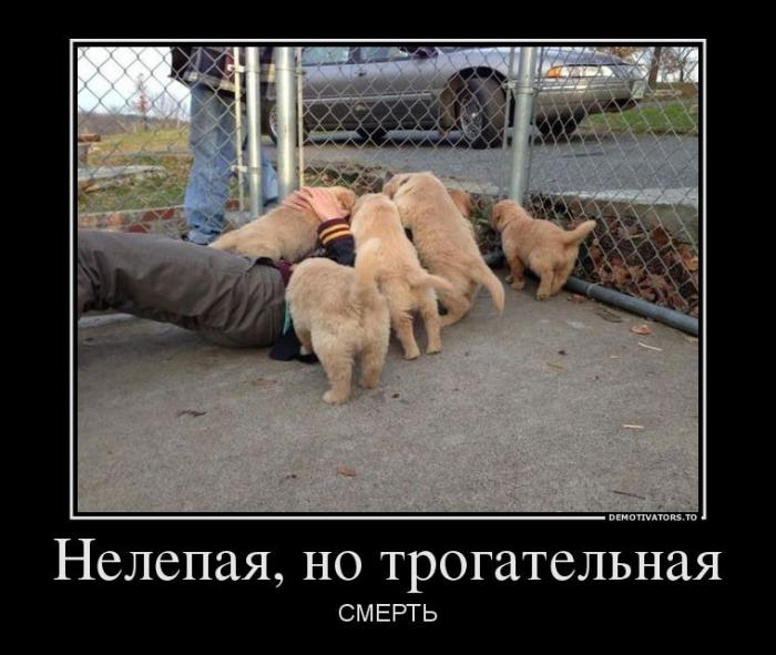 Демотиваторы