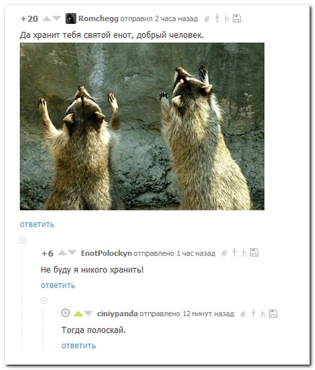 Смешные комментарии из социальных сетей