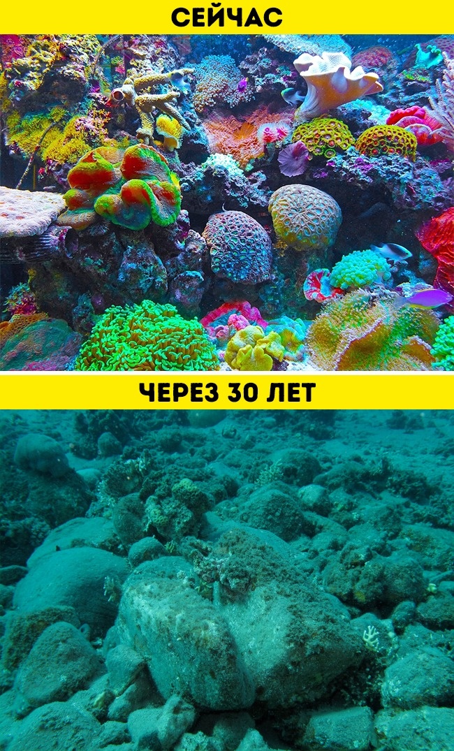 Ученые предсказали, какой будет Земля через миллионы лет, и им не так-то легко поверить