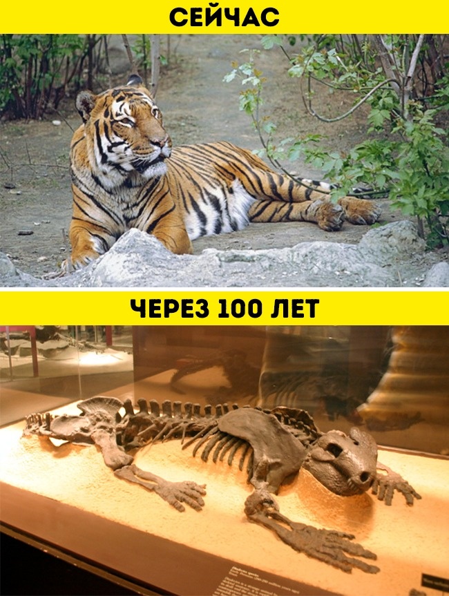 Ученые предсказали, какой будет Земля через миллионы лет, и им не так-то легко поверить