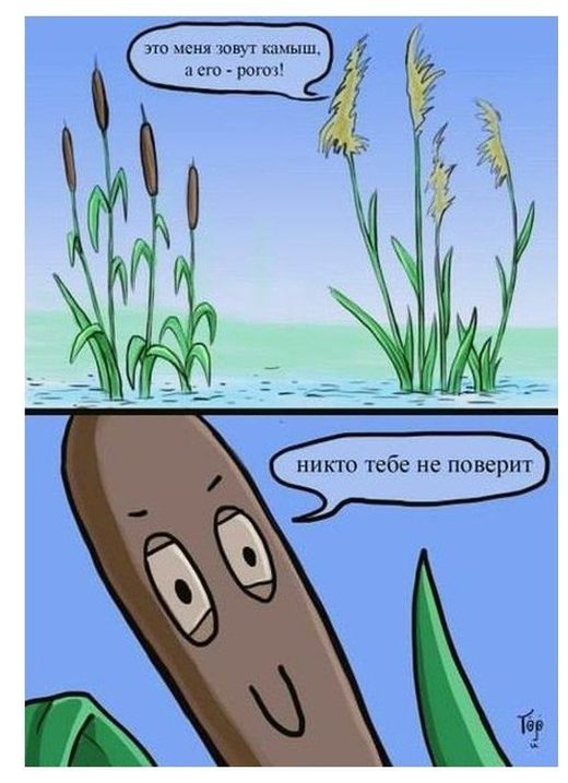 Смешные комиксы