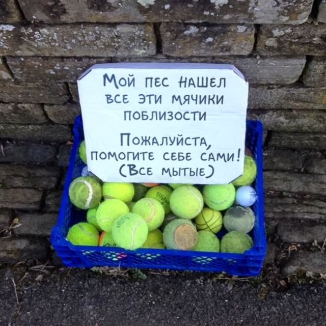 Прикольные картинки