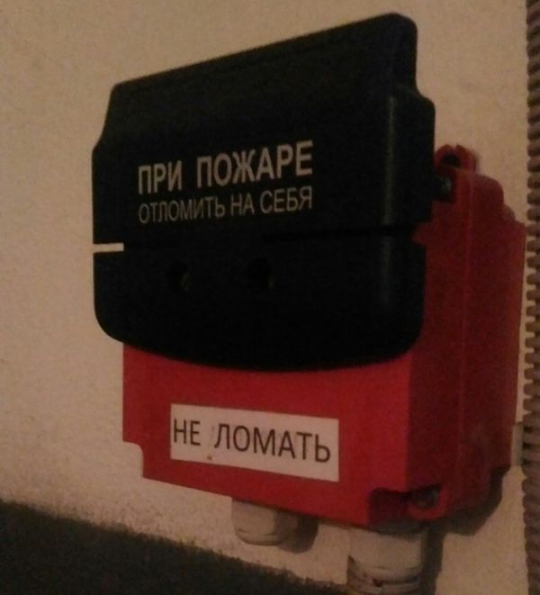 Прикольные картинки