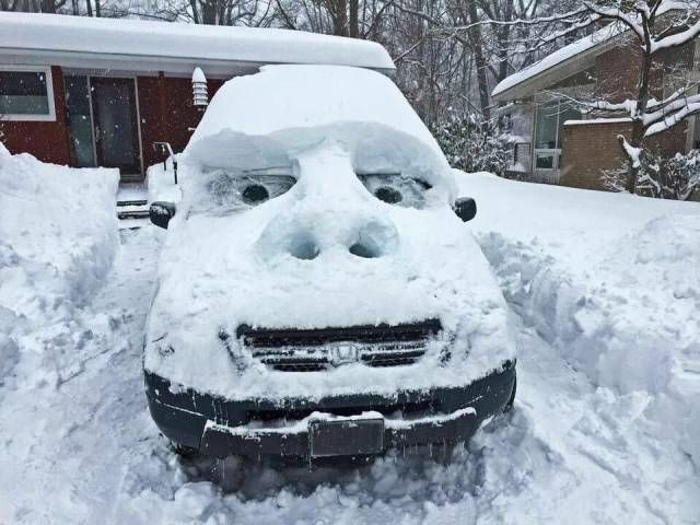 Прикольные картинки