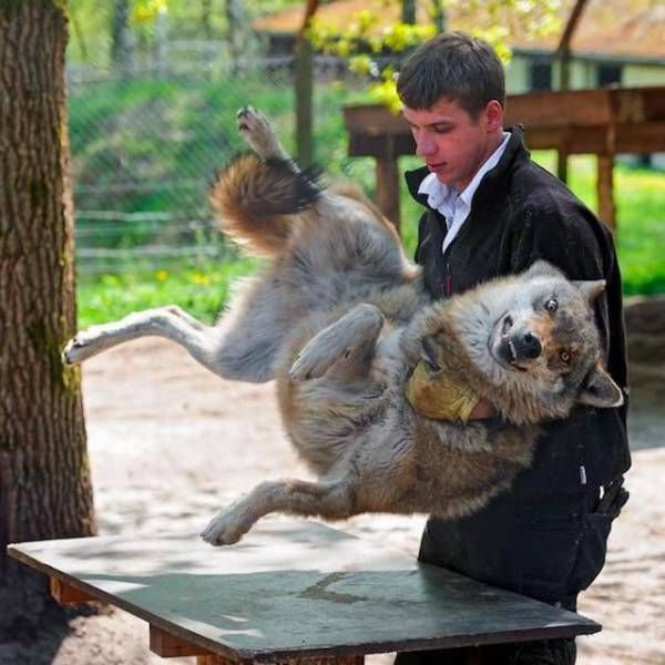Прикольные картинки