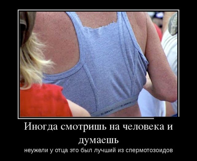 Демотиваторы