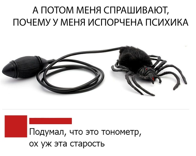 Прикольные картинки
