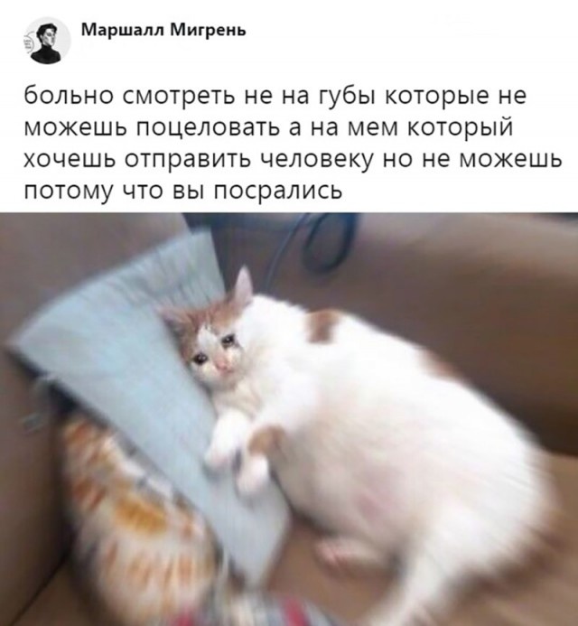 Юмор и шутки из социальных сетей