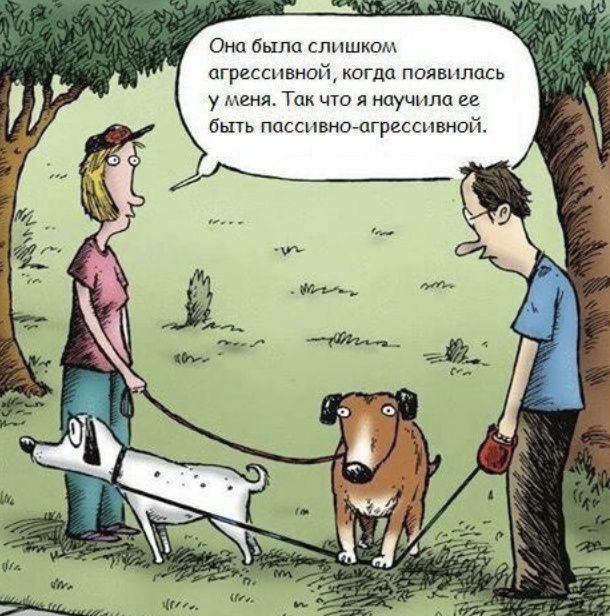 Немного юмора с просторов сети