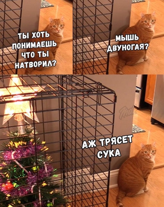 Немного юмора с просторов сети