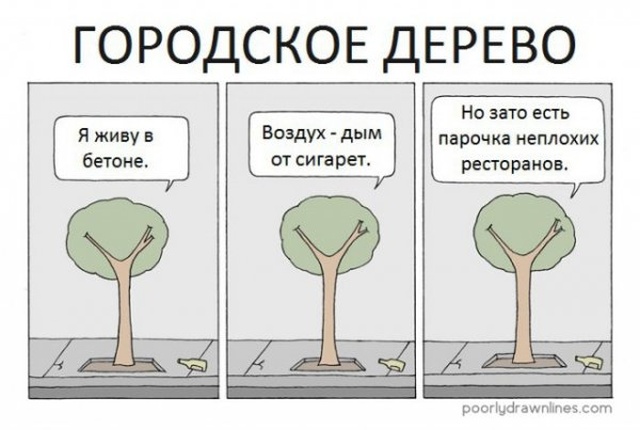 Немного юмора с просторов сети