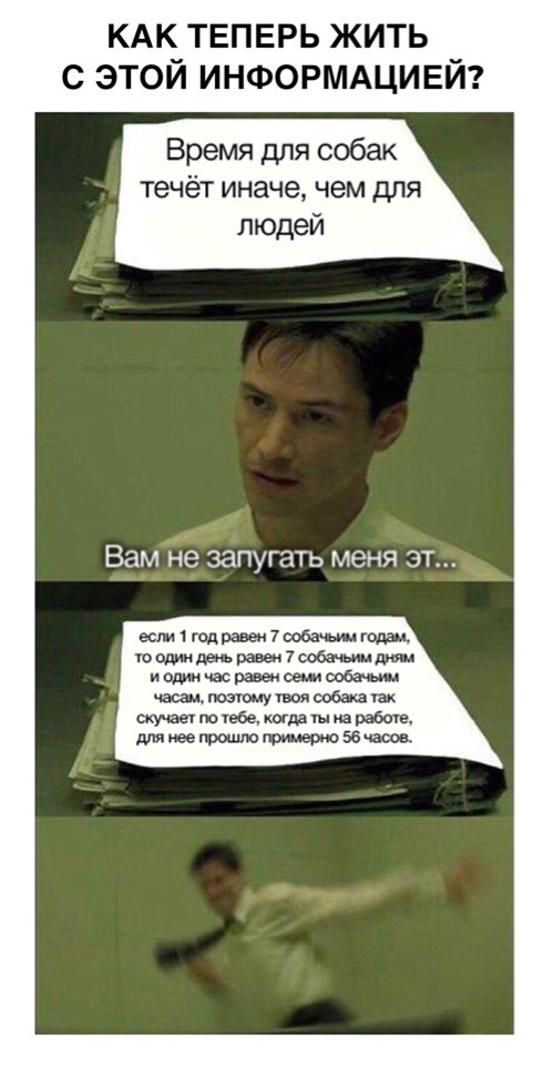 Немного юмора с просторов сети