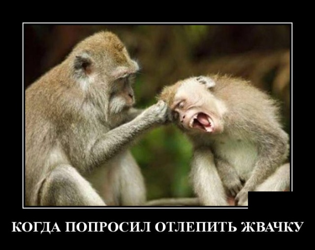 Демотиваторы