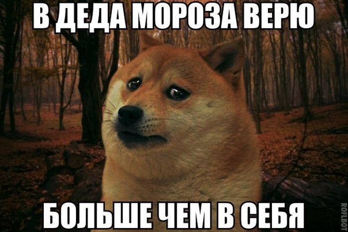 Прикольные картинки (91 фото)