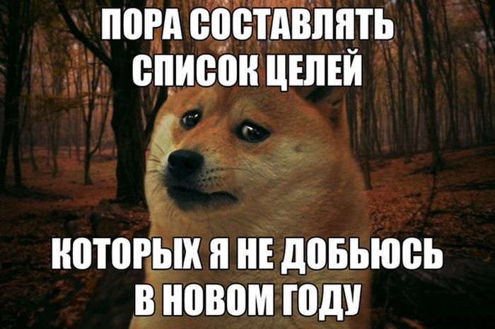 Прикольные картинки (91 фото)