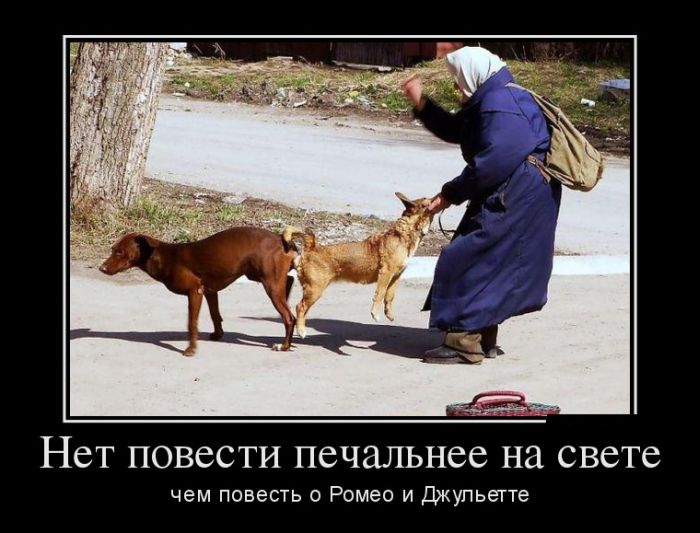 Демотиваторы