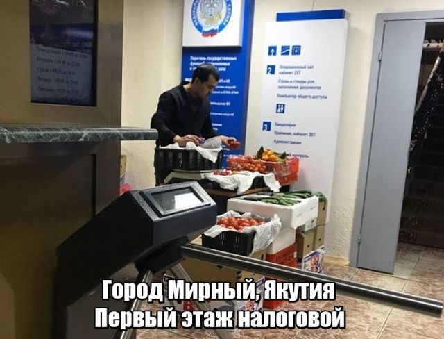 Прикольные картинки
