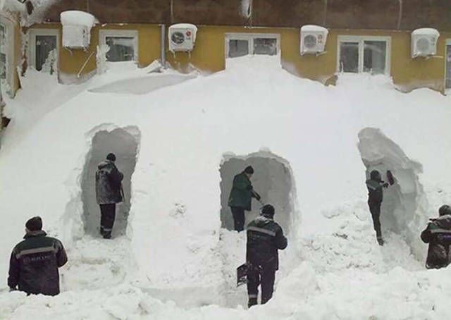 Прикольные картинки