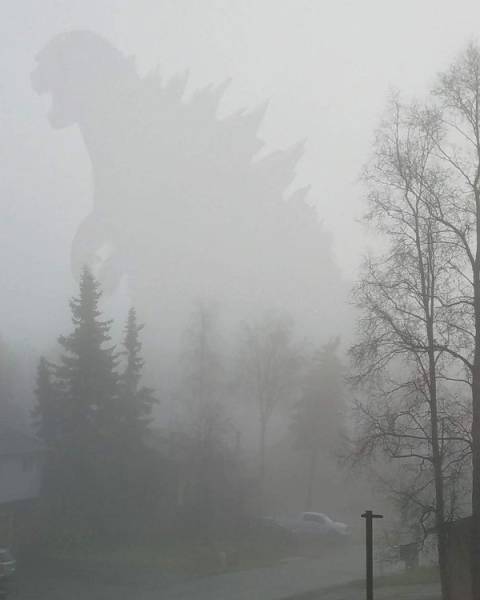 Фото, на которые следует взглянуть дважды