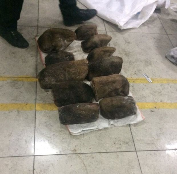 В Забайкалье задержали контрабандный груз из сотен медвежьих лап