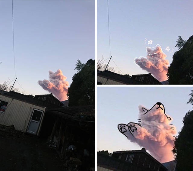 Внимательно присмотритесь к этим фотографиям