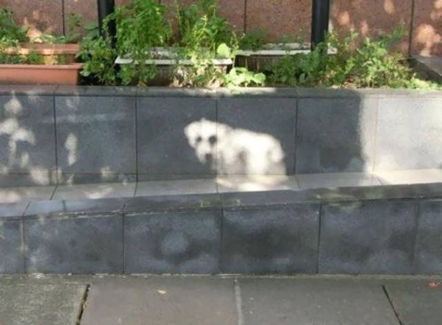 Внимательно присмотритесь к этим фотографиям