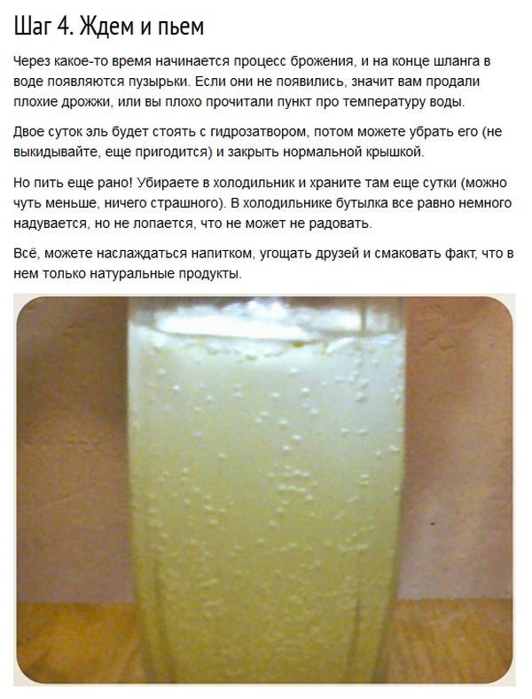 Как приготовить имбирный эль в домашних условиях (8 фото)