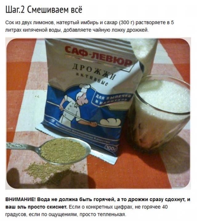 Как приготовить имбирный эль в домашних условиях (8 фото)