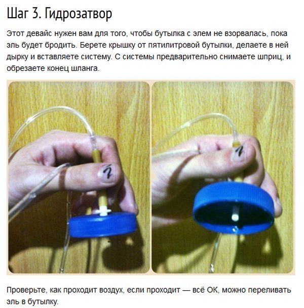 Как приготовить имбирный эль в домашних условиях (8 фото)